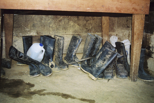 build gallery--3.jpg